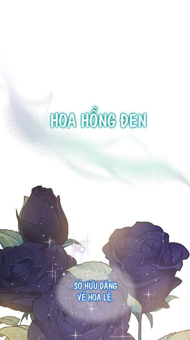 tôi đã thuần hóa một tên bạo chúa và chạy trốn chapter 32 - Next chapter 33